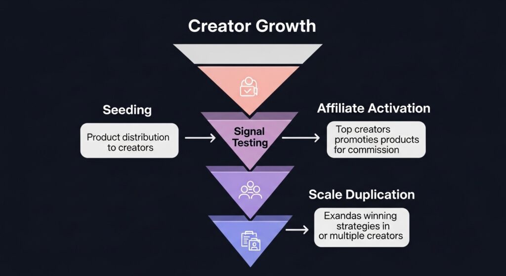The Strategic Moves That Made the 177% Possible
